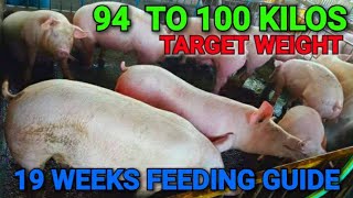 19 WEEKS FEEDING GUIDE SA BABOY PAKAIN PARA MA HIT ANG 94 KG TO 100 KILOS NA LIVE WEIGHT [upl. by Arit395]