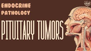 Endocrine Pathology Pituitary Tumors [upl. by Leamse288]