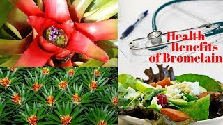 6 Unbelievable Health Benefits of Bromelain [upl. by Onafets634]