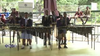 Avondale Primary School  Marimba Ensemble [upl. by Ilaw644]