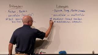 Microbiology Ch 4 Prokaryotes vs Eukaryotes [upl. by Mannie906]