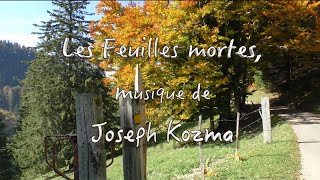 JeanClaude Welche  Les Feuilles mortes  Joseph Kozma  Melodica [upl. by Ehrman]