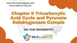 Chapter 9 Tricarboxylic Acid Cycle and Pyruvate Dehydrogenase Complex Carbohydrates and Metabolism [upl. by Aicenaj694]