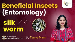 Beneficial Insect  Entomology  Sericulture [upl. by Innavoj]