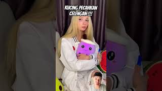 Kucing pecahkan celengan cat funny comedy funnycats pets cats catlover catvideos shorts [upl. by Nedia]