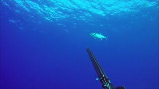 Chasse sous marine Polynesie Fr 2017 HD spearfishing [upl. by Allegna587]