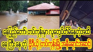 တပ်ကုန်း မြို့ရဲ့ လက်ရှိ အခြေ အနေ Burmese Cele News [upl. by Saw]