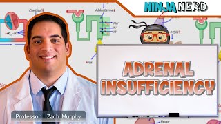 Adrenal Insufficiency  Clinical Medicine [upl. by Lrigybab866]