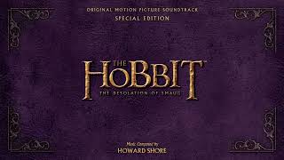 The Hobbit The Desolation of Smaug  Mirkwood Extended Version  Howard Shore  WaterTower [upl. by Flori]