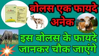 बोलस एक फायदे अनेक इस बोलस के फायदे जानकर चौक जाएंगे आप  Rookare Bolus uses in animals [upl. by Tim866]