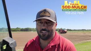 Planting fescue seed instructions directly from the sod farm part 1 [upl. by Alhsa]