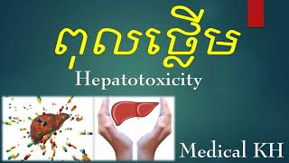 Hepatotoxicityពុលថ្លើម [upl. by Yltneb]