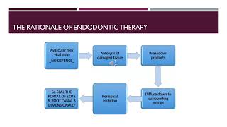 BDS 401 DEPT OF CONS AND ENDO  RATIONALE OF ENDODONTICS  DR SANDEEP DUBEY [upl. by Hpesoy]