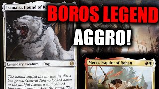 WHO LET THE DOGS OUT Boros Aggro In MODERN [upl. by Dnalsor]