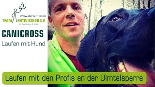 Canicrosslauf am Abend am Rande des Westerwald mit Laufhunden und Profis aus der CanicrossSzene [upl. by Kask]