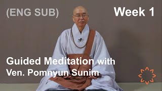 ENKO日中文GERFR SUB Guided Meditation with Ven Pomnyun Sunim Week 1 [upl. by Rosse]