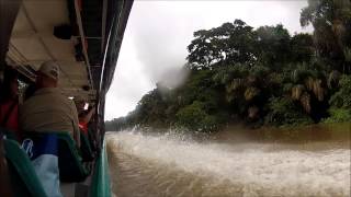 Tortuguero National Park [upl. by Enyr831]