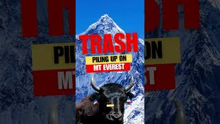 Mt Everest Has a Mountain of a Problem everest trash humanwaste [upl. by Nicoli]