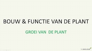 Bouw en functie van de plant  groei van de plant [upl. by Calvo]