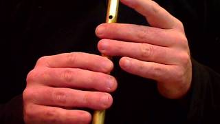 Sporting Paddy 2 Faster  Tin Whistle Tutorial  Tradschool [upl. by Refinaj226]