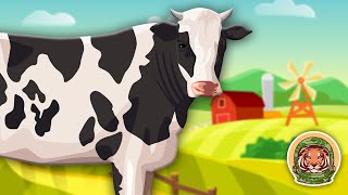 Cows Learn All About Cows  Farm Animal Songs For Kids  KLT WILD [upl. by Chellman]