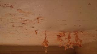 removal of painted embossed ceiling wallpaper [upl. by Bobbye]