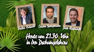 Die große BILDDschungelshow im LiveStream  29012016 [upl. by Atik]