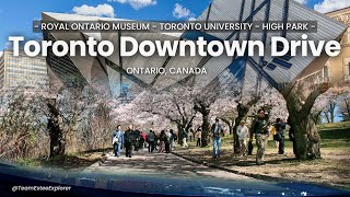 Toronto Downtown Spring Drive High Park Cherry Blossom Road Trip Experience 2024 [upl. by Lalib]