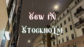 ggw in Stockholm [upl. by Acisset394]