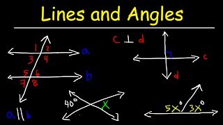 Parallel and Perpendicular Lines Transversals Alternate Interior Angles Alternate Exterior Angles [upl. by Nessim]