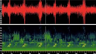 Bioacoustic Sound Sample with Visualization [upl. by Tedman]