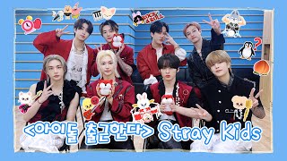 【Stray Kids 스트레이 키즈】20231215 Stray Kids SOHU KOREA interview 인터뷰（아이돌 출근한다 爱豆上班啦） [upl. by Tomaso]