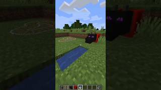 Minecraft Tik Tok hacks Dragon head  Minecraft Tik Tok Hacks v 116 shorts minecraft [upl. by Newbill]