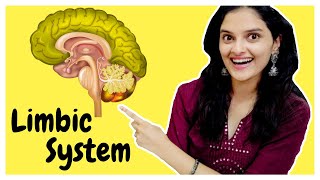 LIMBIC SYSTEM in the Brain  Anatomy and Functions of the Parts of the Limbic System  WLB [upl. by Naillig545]