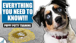 Your COMPLETE Guide To Puppy Potty Training [upl. by Amis316]