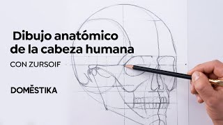 Dibujo anatómico de la cabeza humana  Un curso de Zursoif  Domestika [upl. by Gnet]