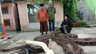 TAMU KEHORMATAN  KH CHALWANI NAWAWI Berjan Purworejo [upl. by Nanine830]