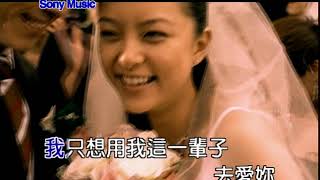 王力宏Forever Love Official Video Karaoke [upl. by Ysus]