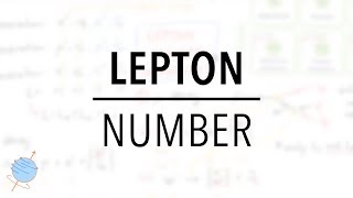 Lepton Number Conservation  Standard Model of Particle Physics [upl. by Shelah785]