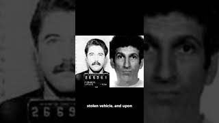 Apprehension hillside stranglers [upl. by The]