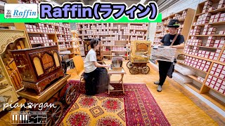 【世界一周】🇩🇪「Raffin」ドイツの２大手回しオルガンメーカーに行って来ました！記念にそこで一曲♪「the entartainer」 [upl. by Iene509]