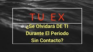 ¿Tu Ex Se Olvidará DE TI Durante El Periodo Sin Contacto [upl. by Ahteral]