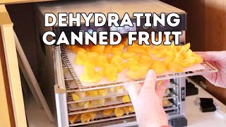 Dehydrating Canned Fruit [upl. by Iggep]