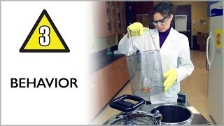 Behavior  Lab Safety Video Part 3 [upl. by Ahsienroc]