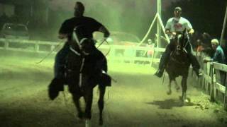 Standardbred Horse Pacing Classes [upl. by Ernest]