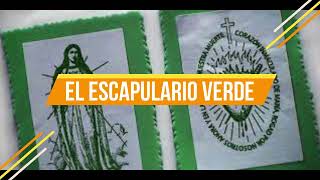 Testimonio con el Escapulario Verde desde Chile [upl. by Eugenle532]