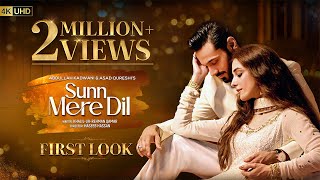 Sunn Mere Dil  First Look  Ft Wahaj Ali Maya Ali  Har Pal Geo [upl. by Poore]