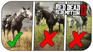 Red Dead Online Missouri Fox Trotter Dapple Grey [upl. by Helge936]