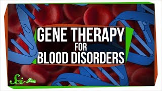 Changing DNA in a Cell With No DNA Gene Therapy for Blood Disorders [upl. by Aruon]