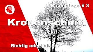 Kronenschnitt  Element der Baumpflege [upl. by Shriver568]